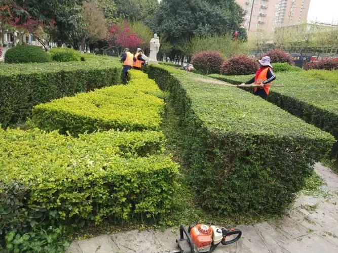 绿化工程分包开票是开建筑服务吗