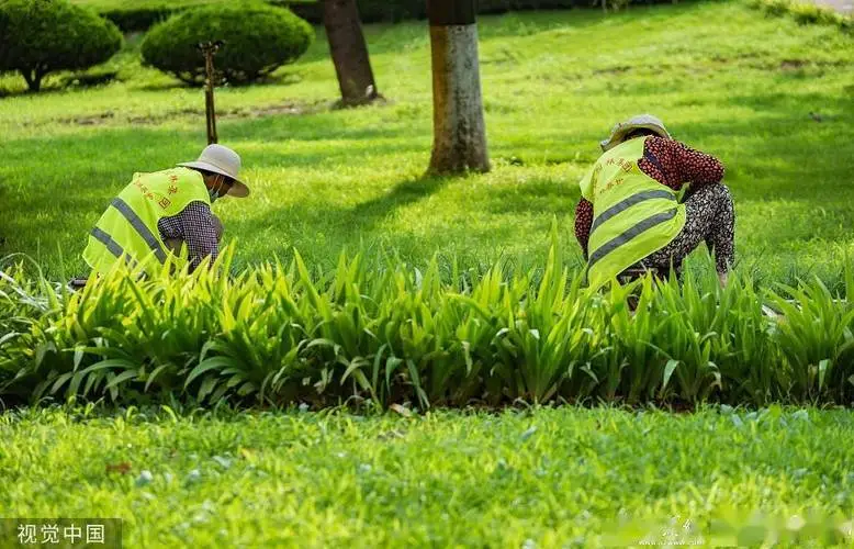 现代居住园林景观设计