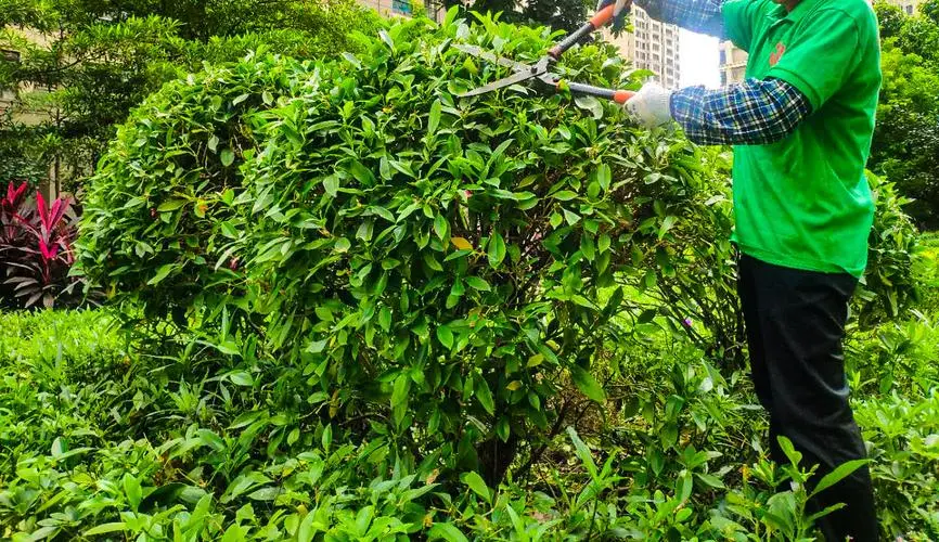 园林绿化工程对接项目