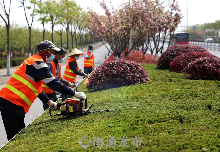 城市绿地建设滞后，市政园林管理亟需提升