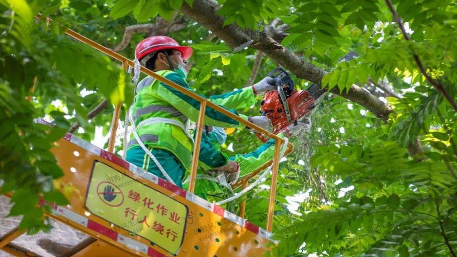 办公楼前绿地园林景观设计